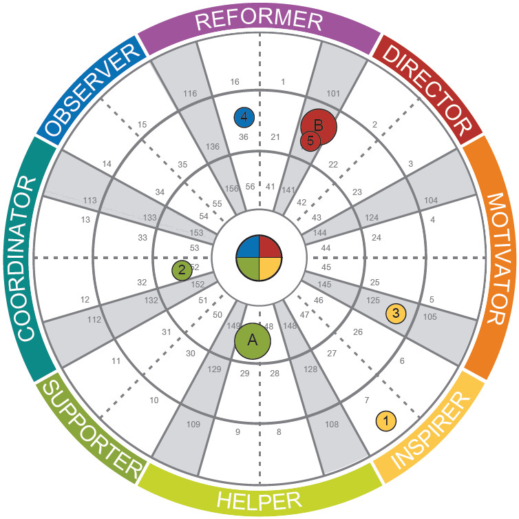 Insights Discovery Full Circle Wheel