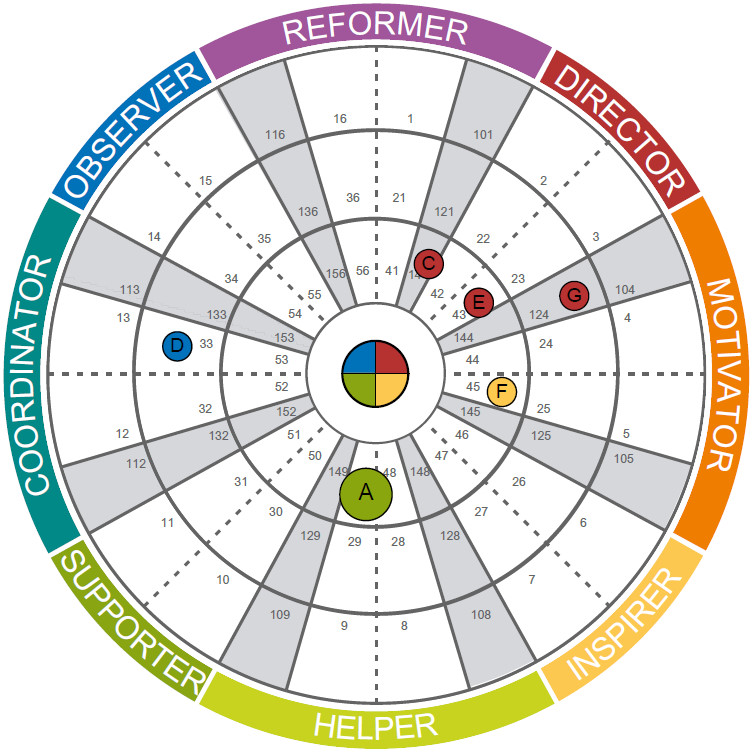 Full Circle Feedback by Role
